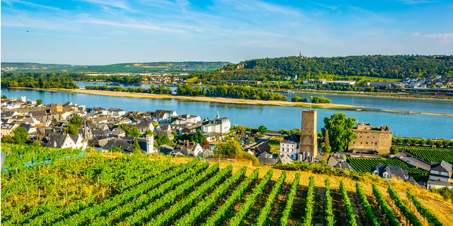 Rudesheim-Panorama-Reno (1)