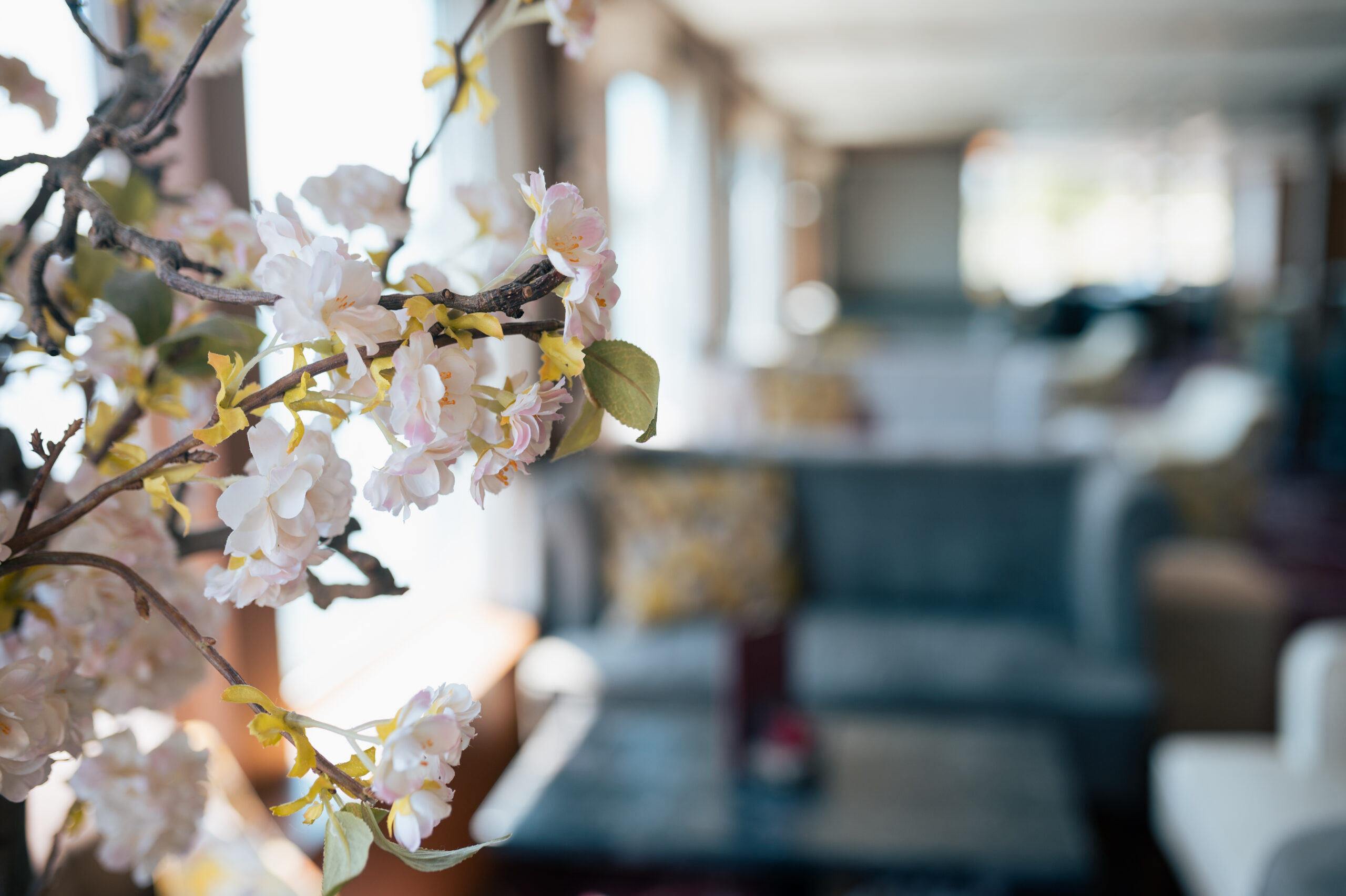 Vistario_Details (5)