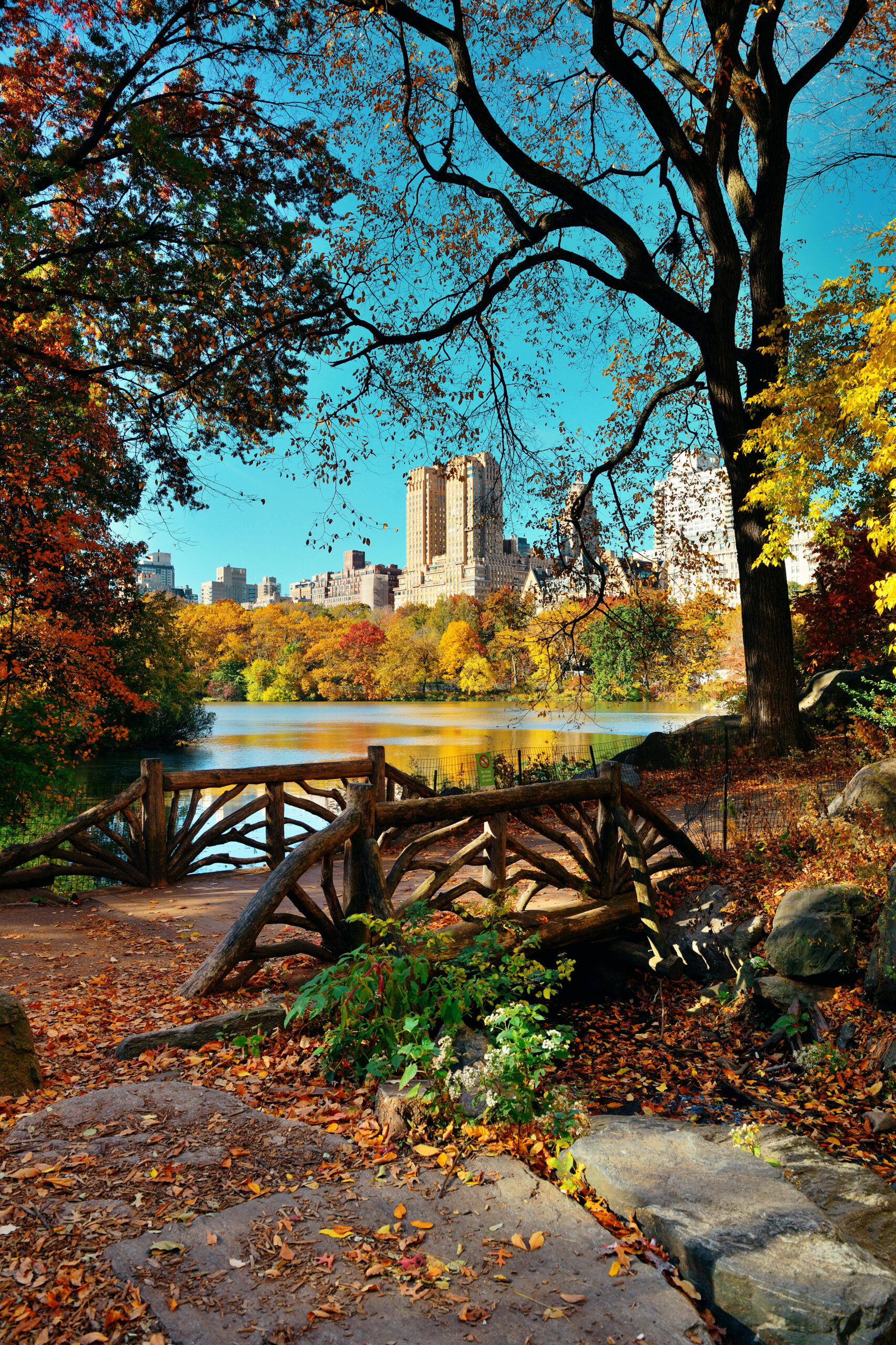 Central Park Autumn and buildings in midtown Manhattan New York City
