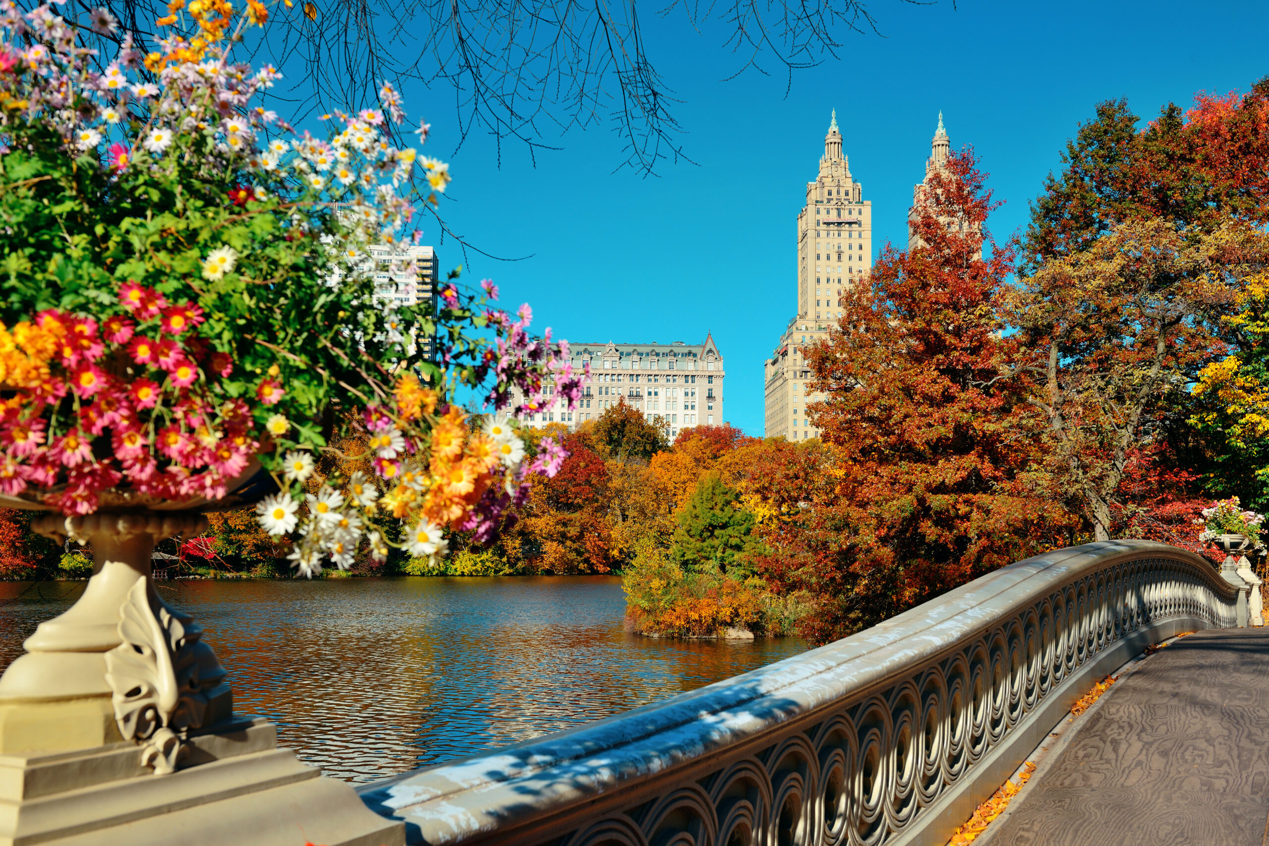 Central Park Autumn and buildings in midtown Manhattan New York City
